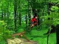 Mountain Bike om online te spelen