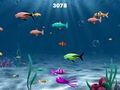 Franky The Fish om online te spelen