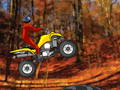 Quad Extreme Racer om online te spelen