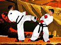 Taekwon-Do om online te spelen