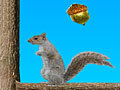 Acorn Toss om online te spelen