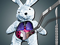 Save The Bunny om online te spelen