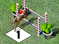 Horse Show Jumping om online te spelen