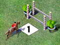 Show Jumping om online te spelen