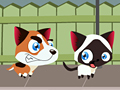 Run Kitty Run om online te spelen