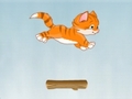 kitty Jump om online te spelen