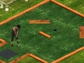 Putt It In om online te spelen