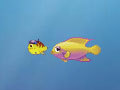 Growing Fish om online te spelen