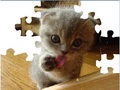 Cute Cat Puzzle om online te spelen