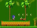 Sonic Extreme om online te spelen