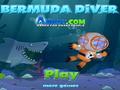 Bermuda Diver om online te spelen