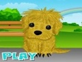 Puppy Needs Owner om online te spelen