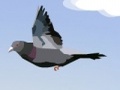 Funny bird om online te spelen