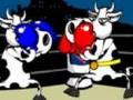 Cow Fighter om online te spelen