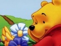 Winnie de Pooh Hidden Object om online te spelen