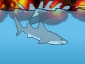 Miami Shark om online te spelen