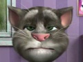 Talking Tom om online te spelen