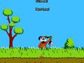 Duck Hunting om online te spelen