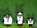 Panda Adventure om online te spelen