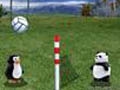 Pretvolleyball om online te spelen