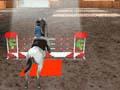 Paardensport 3D om online te spelen