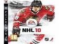 NHL 10 Jigsaw om online te spelen