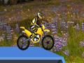 Hillblazer FMX om online te spelen