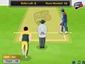 Concurrenten cricket om online te spelen