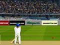 Versnelde cricket om online te spelen