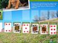 Animal Planet Solitaire om online te spelen