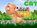 Flower Catcher om online te spelen