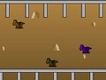 Horse Ranch om online te spelen