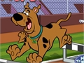 Scooby Doo - Steeplechase om online te spelen