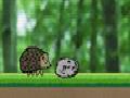 Speedy Hedgehog om online te spelen