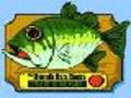 The Singing Fish om online te spelen