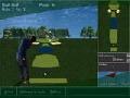 Golf om online te spelen